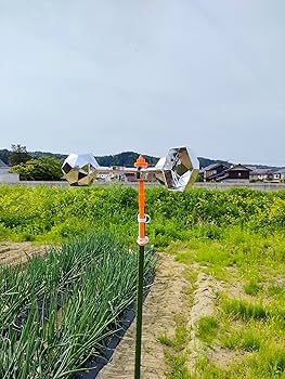 918gbw+U0oL._AC_UF350,